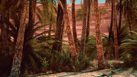 palm-trees-in-the-desert-with-sand-dunes